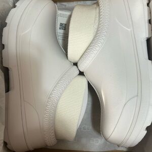 White ugg Tasman